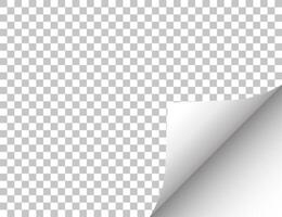 Paper with a curled edge. illustration. vector