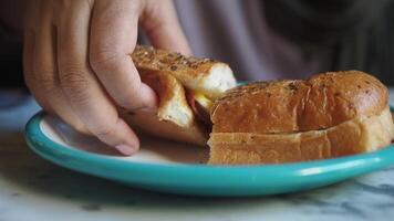 Enjoy an appetizing and nutritious veggie sandwich served with fries and salad on a plate video