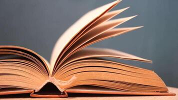 An open book with its pages gently turning rests on a wooden table in the breeze video