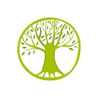 forest tree of life cartoon illustration vector
