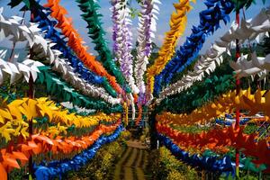 Geometric photo of Colorful Hallway full of Pinwheels. Background of natural scenery in amusement park. Graphic Resources. Background Photography. Travel Destinations