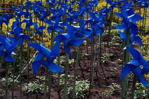 Close-up of plastic Blue Pinwheel in amusement park. Abstract Background of ornament in amusement park. Graphic Resources. Macro Photography. Travel Destinations. Holiday photography concept photo