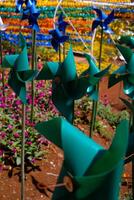 Close-up of plastic green Pinwheel in amusement park. Abstract Background of ornament in amusement park. Graphic Resources. Macro Photography. Travel Destinations. Holiday photography concept photo