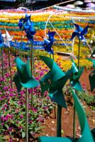 Close-up of plastic green Pinwheel in amusement park. Abstract Background of ornament in amusement park. Graphic Resources. Macro Photography. Travel Destinations. Holiday photography concept photo