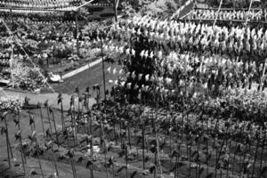 Black and white photography of Thousands of Pinwheels filling the park. Monochrome of natural scenery in amusement park. Graphic Resources. Monochrome Background Photography. Light Shadow Photography photo
