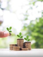 Close up hand putting coin into stack of coins and Plants growing up. The concept of saving money, Financial, Investment and Business growing. photo