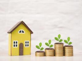 Miniature house and plants growing up on stack of coins. The concept of saving money for house, Property investment, House mortgage, Real estate. photo