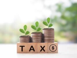 Wooden blocks with the word TAX and plants growing up on stack of coins. The concept about saving money and manage time to paying tax photo