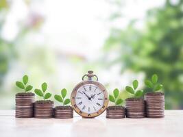 Vintage watch and Plants growing up on stack of coins. The concept of saving money, Financial, Investment and Business growing up. photo