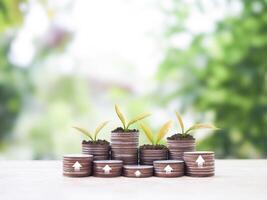 Plants growing up on stack of coins with arrow rising up. The concept of saving money, Financial, Investment and Business growing. photo