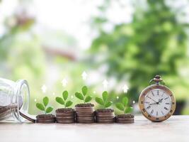 Vintage watch and Plants growing up on stack of coins. The concept of saving money, Financial, Investment and Business growing up. photo