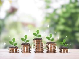 Plants growing up on stack of coins with arrow rising up and with virtaul increasing graph. The concept of saving money, Financial, Investment and Business growing. photo