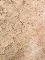 Cracked earth texture for nature background photo
