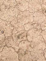 Cracked earth texture for nature background photo