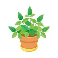 Realistic hand-drawn versatile potted houseplant vector