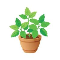 Realistic hand-drawn versatile potted houseplant vector