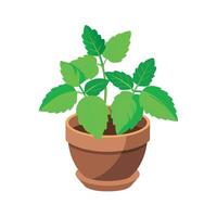 Realistic hand-drawn versatile potted houseplant vector