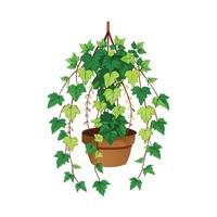 Realistic hand-drawn versatile potted houseplant vector