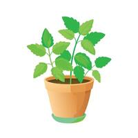 Realistic hand-drawn versatile potted houseplant vector