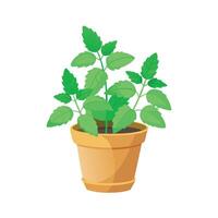 Realistic hand-drawn versatile potted houseplant vector
