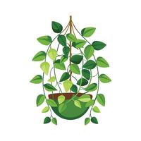 Realistic hand-drawn versatile potted houseplant vector