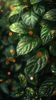 Vertical background with green leaves, highlights and golden bokeh. Generated by artificial intelligence photo