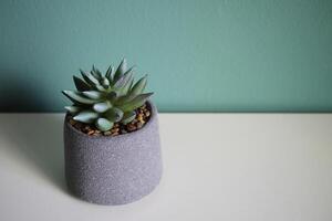 Artificial succulent flower on a white table. Space for your text. photo