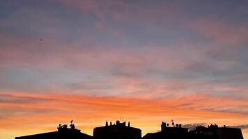 Sunset sky background. Twilight sky. Colorful skyline evening sunset with buildings. photo