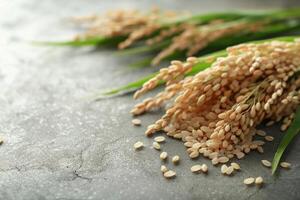 Golden Rice Crops in a Lush Green Field photo