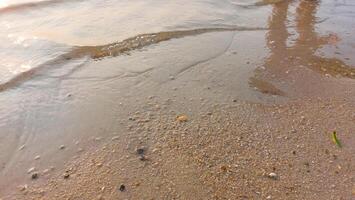 Close up soft wave lapped the sandy beach. natural abstract background and texture photo