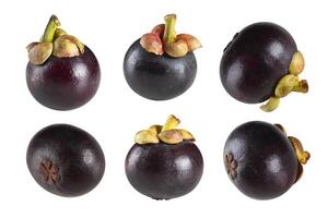 Mangosteen fruits with white background photo