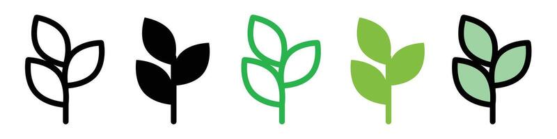 Mint Essence Product Packaging Icon for Herbal Ingredient Identification vector