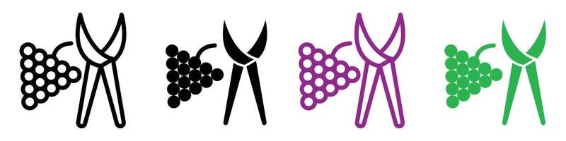 Pruning grape icon representing vineyard management and agricultural practices, suitable for wineries, vineyards, and agricultural education vector
