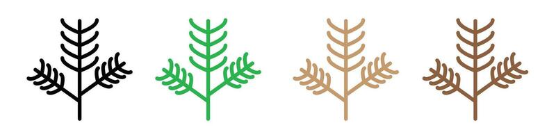 Pine Branch and Fir Needle Icons Representing Natural Evergreen Trees vector