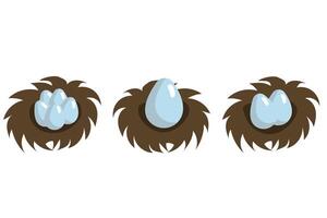Set of bird's nests with eggs in carton style. Simple illustration isolated on white background. vector