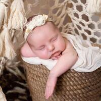 beige background with space for text with baby sleeping in a wicker basket decorated with blue orchid flowers. beautiful sleeping baby on a beige background. a beautiful baby sleeps in a wicker basket photo