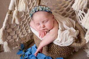 beige background with space for text with baby sleeping in a wicker basket decorated with blue orchid flowers. close-up portrait beautiful sleeping baby on a beige background. photo