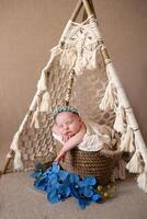 beige background with space for text with baby sleeping in a wicker basket decorated with blue orchid flowers. beautiful sleeping baby on a beige background. a beautiful baby sleeps in a wicker basket photo