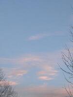 Colors of dusk photo