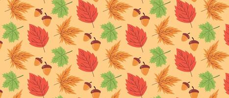 Autumn background with colorful maple leaves and acorns. vector