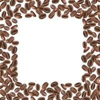 Coffee beans. Square frame with roasted brown grains. Dense arrangement of seed. Aromatic ingredient for drinks. Empty space for your text. Watercolor illustration. For package, greeting, card vector