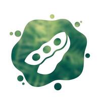 soybeans icon, soy beans vector