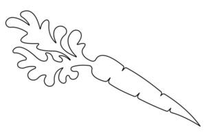 Simple carrot in continuous one line art drawing design, Growing carrot plant minimalist outline vector