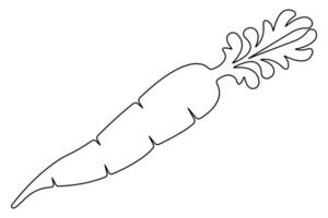 Simple carrot in continuous one line art drawing design, Growing carrot plant minimalist outline vector