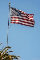 A well maintained United States flag waves against a blue sky, likely in San Francisco, with a golden finial on top of the flagpole and palm tree in the foreground. photo