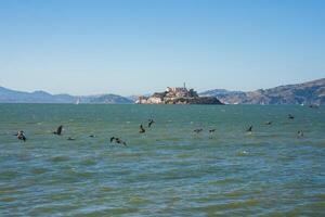 View of Alcatraz Island in San Francisco Bay, USA. Alcatraz prison atop the rocky outcrop visible against clear blue sky. Birds in choppy waters, hills in the distance. Serene sunny day scene. photo