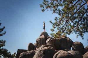 Person standing on large boulders in natural setting, facing away. Clear blue sky, pine tree visible. Casual attire, isolated location for introspection. photo