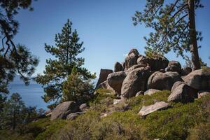 Serene natural landscape with rocky outcrop, lush greenery, tall pine trees, and person sitting on boulder. Tranquil scene near calm body of water. Mountainous region vibes in Tahoe. photo