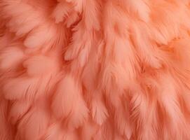 Abstract hairy background in the color of the year 2024 Peach Fuzz photo