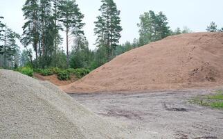 Two piles of dirt, gravel, and rocks, resting side-by-side on a dirt path in a sunny forest photo